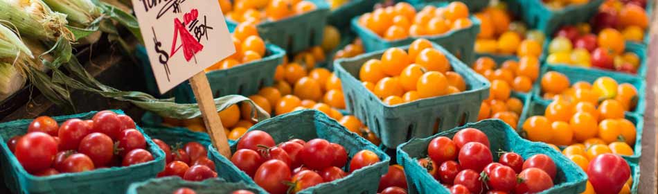 Farmers Markets, Farm Fresh Produce, Baked Goods, Honey in the Warminster, Bucks County PA area